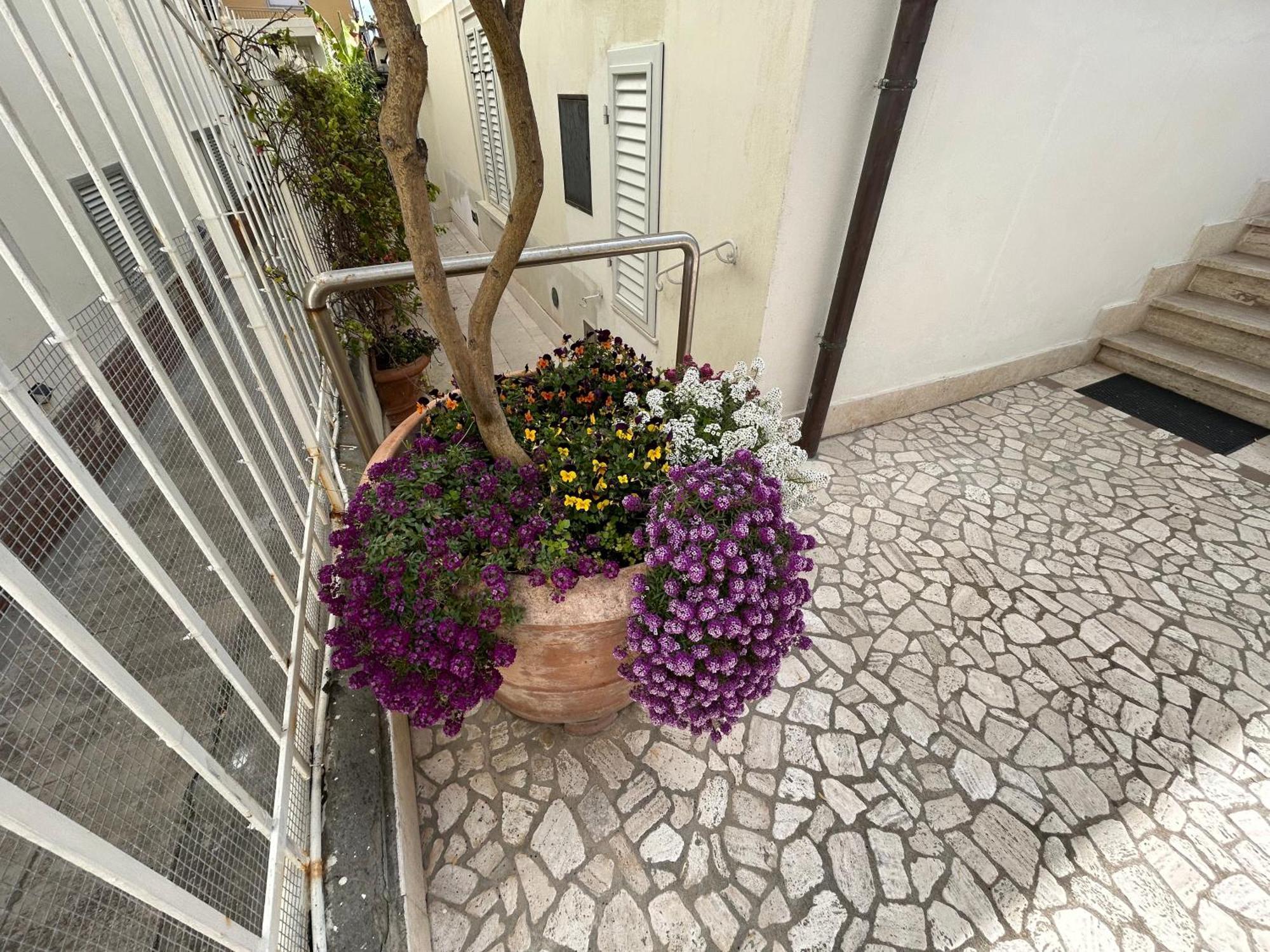La Casa Di Rosi Al Mare Apartment Vada Luaran gambar